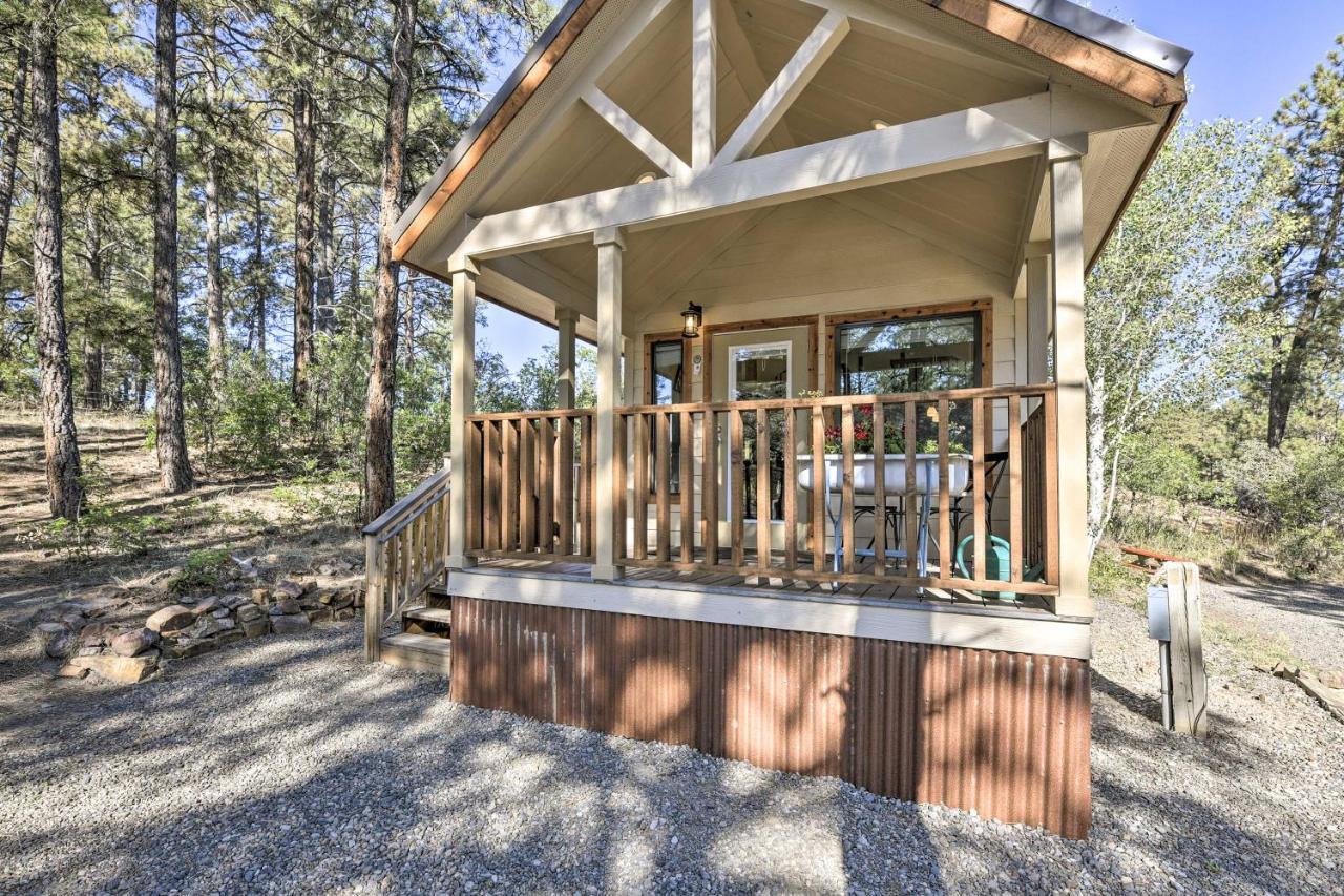 Roomy Pagosa Springs Tiny Cabin 1 Mi To Downtown Exterior photo